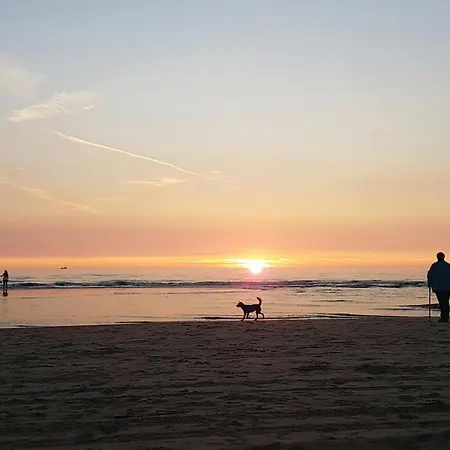 Vakantiehuis Lovely In With Wifi Egmond aan Zee