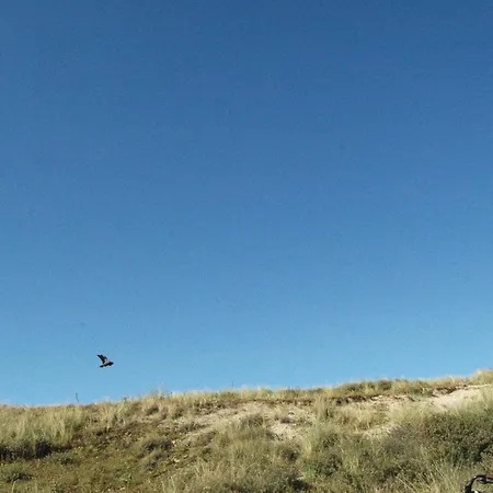 Lovely In With Wifi * Egmond aan Zee