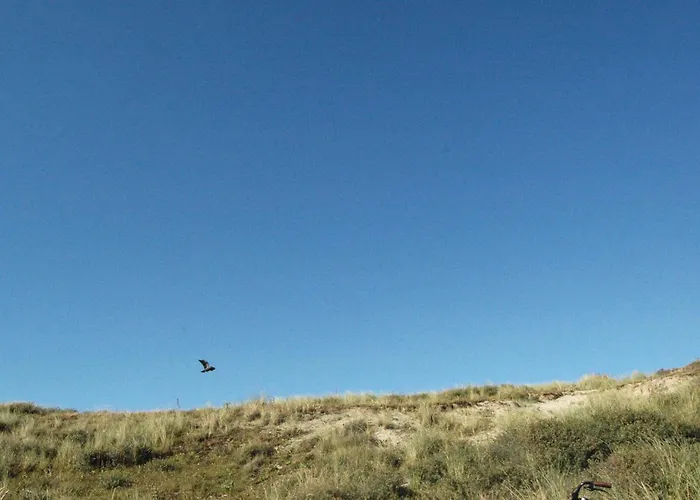 Lovely In With Wifi * 海边的艾格蒙特